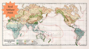 Antike Karte Welt Vegetation Pflanze Klimazonen Meyers deutsch Anfang 1900 - Bild 1 von 6