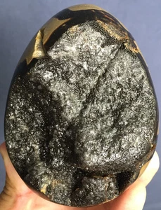 861g TOP!!! Natural Septarian Dragon Stone Huge CrystalLized Geode EGG ip0604 - Picture 1 of 10