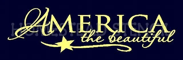 Plantilla reutilizable 5436 A 4"x12" AMERICA THE BEAUTIFUL HÁGALO USTED MISMO PLANTILLAS DE LETRERO Foto 1 de 1