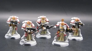 Sternguard Veteran Squad, Partially Painted, ID#967 - Picture 1 of 5