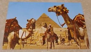 The Great Sphinx of Giza, Pyramids, Camels, Egypt, Unposted Vintage Postcard EUC - Picture 1 of 2