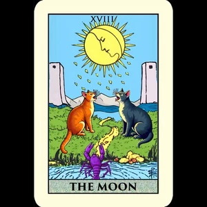 Katze Tarotkarte Blechschild 8x12 Moon Waite Smith Holler Krebse Bach Turm - Bild 1 von 2