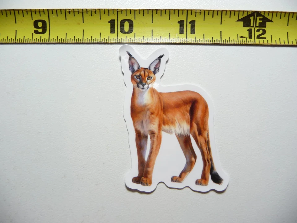 WILD CARACAL CAT SPYING SMALL STICKER DECAL WILDLIFE PRESERVE NATURE ANIMAL - Image 1 of 1