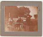 Sulky (Harness Racing) Trotter Scene Attending To Horse Before Race ~ C.-1900