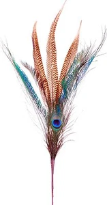 Peacock Pheasant Feather Pick Spray Stem 27" Natural Floral Craft Decor 164d - Picture 1 of 11