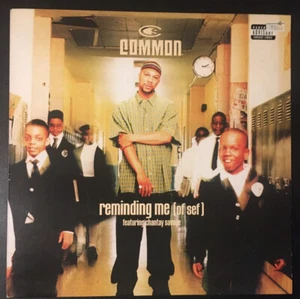 Common feat.Chantay Savage - Reminding Me (Of Sef) 12" Vinyl Relativity 1997 VG+ - Imagen 1 de 6