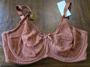 NWT Wacoal 36C Chantilly Lace Retro Chic 855186 Brown Bra Free Ship 127609 - Picture 1 of 3