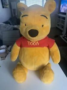 Winny The Poo Teddy Bear - Picture 1 of 5