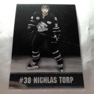 DEL autograph card ICE Tigers Nuremberg 2016/17 Nichlas Torp