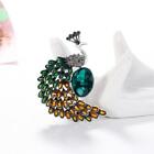 Crystal Peacock Brooch Pins For Women Animal Broches Jewelry Clothes Fashion