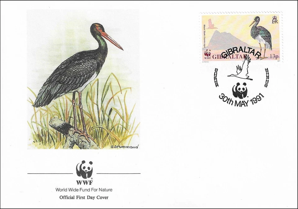 Black Stork Large Roof Stork Bird Ciconia Nigra Gibraltar FDC Cover 1991 - Image 1 of 1