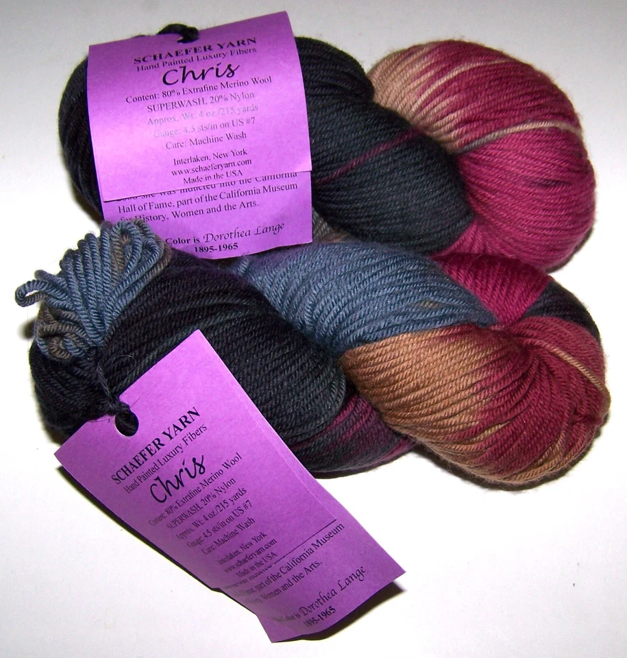 Dos madejas de 4 oz Schaefer CHRIS pintadas a mano merino e hilo de nailon #DOROTHEA LONG Foto 1 de 1