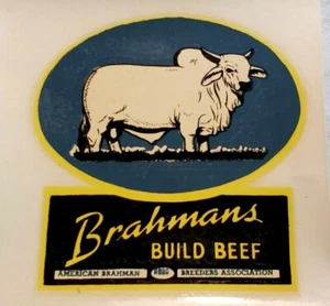 Decal Brahmans Build Beef Breeder Association Logo Water Release Slide Vintage - Picture 1 of 5
