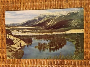 HORSESHOE LAKE AT MCKINLEY PARK, ALASKA VINTAGE POSTCARD - Picture 1 of 2