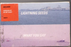 Lightning Seeds What You Say cassette UK Epic 1997 card outer slip case with - Picture 1 of 2