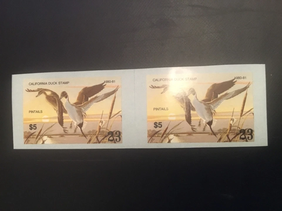 ICOLLECTZONE California  1980-81 Imperf Pair Duck Stamp - Image 1 of 2