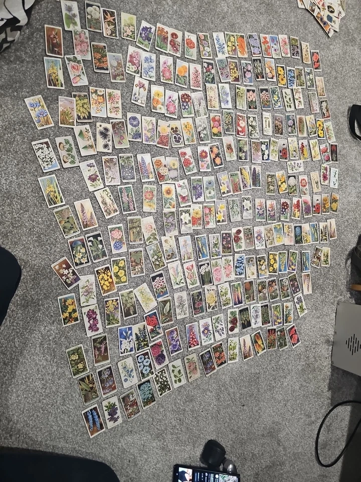 Vintage Cigarette Card Lot 250 ApFlower Cards – Wills's, Player's, Ogden's 1930s - Image 1 of 4