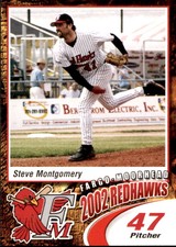 2002 Fargo-Moorhead RedHawks Domino's #17 Steve Montgomery Warren Ohio OH Card