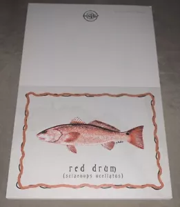 Phins Red Drum Fish Blank Note Cards 24 - No envelopes - 5.5"x8.25" - Picture 1 of 2