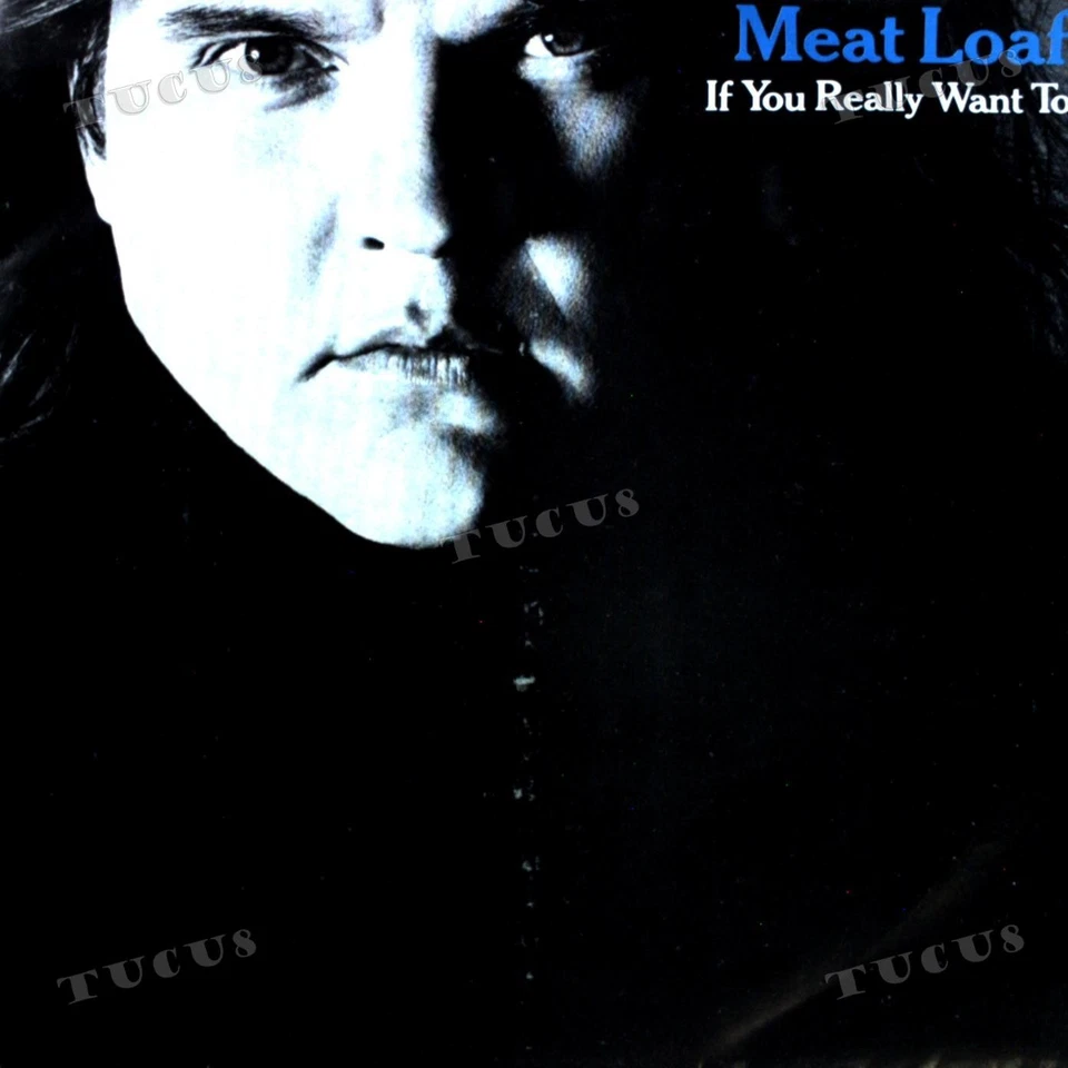 Meat Loaf - If You Really Want To 7in 1983 (VG+/VG+) '* - Image 1 of 1