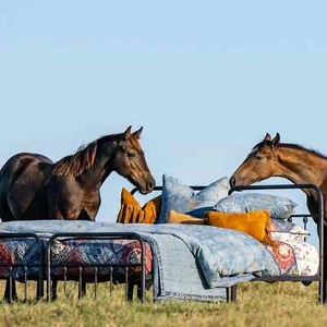 Western Washed Denim Bedding Set - Picture 1 of 24
