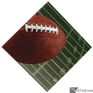 Fun Express Football Over Field Party 2-Ply 13IN Square Paper Luncheon Napkin... - Picture 1 of 1