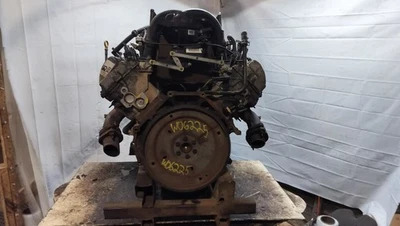 Engine 4.6L VIN 8 8th Digit 3V Fits 06-08 EXPLORER 2033239 - Image 1 of 4