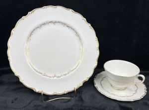Royal Doulton RICHELIEU China H4957 Dinner Plate & Cup/Saucer Set - Picture 1 of 4