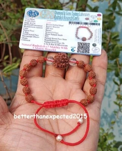 7 MUKHI RUDRAKSH /SEVEN FACE RUDRAKSHA BRACELET- NEPAL- LAB CERTIFIED -ENERGIZED - Picture 1 of 3