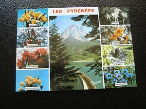 FRANCE - carte postale les pyrenees (fleurs) (cy62) french - Picture 1 of 2