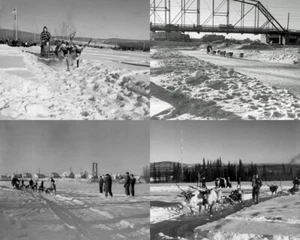 1948 Fairbanks Alaska 4 8x10 photos Dog Sled Holiday Reindeer Rides home bar art - Picture 1 of 5