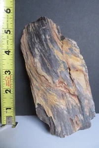 VINTAGE Small Petrified Wood Fossil 1 lb 6.9 oz Rough Specimen Eastern Montana - Picture 1 of 19