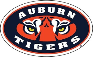 Auburn Tigers "Tiger Eyes" Car Magnet - Picture 1 of 1