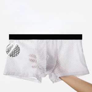 3Pack Men's Ice Silk Mesh Boxer Briefs Solid Breathable Underwear Summer Panties - Picture 1 of 20