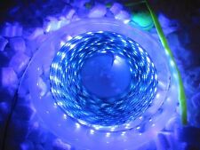 1m LED STRIP STRISCIA UV ultravioletto 12V 60LED/m