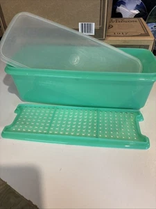 Tupperware Green Celery Vegetable Keeper Container w/ Lid, 3-pc, 782, Vintage - Picture 1 of 5