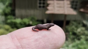 1/87 H0 Otter / Wassermarder aus Resin - fertig bemalt - Made in Germany - HO - Picture 1 of 4