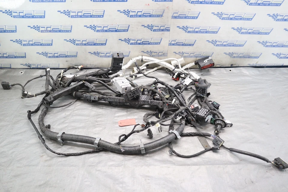 Arnés de cableado Ford Mustang GT 2024 5,0 L OEM PR3T-14290-FALA #1672 Foto 1 de 4