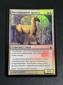 FOIL Dromad Purebred MTG Magic RAVNICA: CITY OF GUILDS 15/306 Foil Russian - Picture 1 of 2
