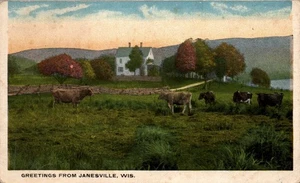 POSTAL SALUDOS JANESVILLE WISCONSIN - VACAS EN EL CAMPO - Imagen 1 de 2