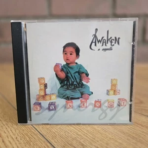 EXTREMELY RARE: Awaken A Cappella : Synergy (CD UCLA LOS ANGELES 1995) VOCAL POP - Picture 1 of 11