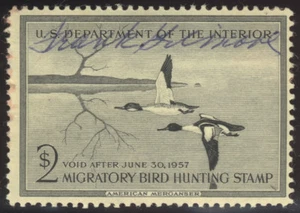 RW23 DUCK STAMP 1956 American Merganser Migratory Hunting Permit CV $12.50 Used - Picture 1 of 2