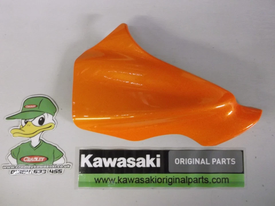 PANEL FARO KAWASAKI ER6N R/H NARANJA 1491-0459-17H Foto 1 de 1