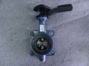 Ebro Zwischenflanschklappe Z011-A PN 16 DN 65 GG-25 / 057546 - Picture 1 of 4