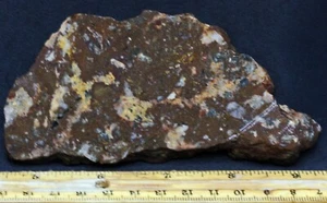 S-43a  ~  4.7oz Slab Conglomerated Jasper/Agate ~ Arizona - Picture 1 of 8