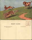 Hound hunting dog chasing rabbits artist illustrated 1920s postcard