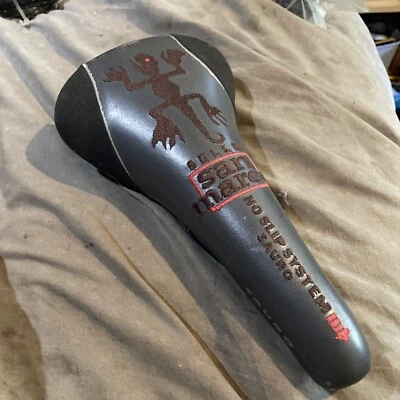 Lagarto Selle San Marco Sauro Foto 1 de 4