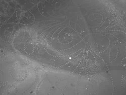 Crystal Organza Reliefdruck und Pailletten SILBER Glitzer - Bild 1 von 1