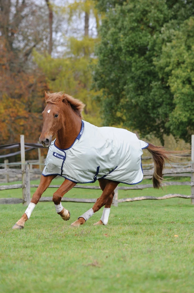 Bucas Power Turnout Light Classic Regendecke Weidedecke - Größe 115 bis 165 - Bild 1 von 1