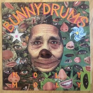Bunnydrums Holy Moly 9 Track Vinyl Album New Wave - Imagen 1 de 2